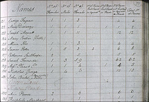 A typical 1801 Census Return - © Essex University