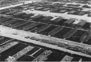 Aerial reconnaissance photograph of the Majdanek concentration camp (June 24, 1944) from the collections of the Majdanek Museum; lower half: the barracks under deconstruction with visible chimney stacks still standing and planks of wood piled up along the supply road; in the upper half, functioning barracks